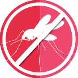 רשת נגד יתושים | דינמיקה רשתות