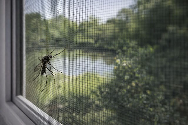 פתרון שמונע עקיצות